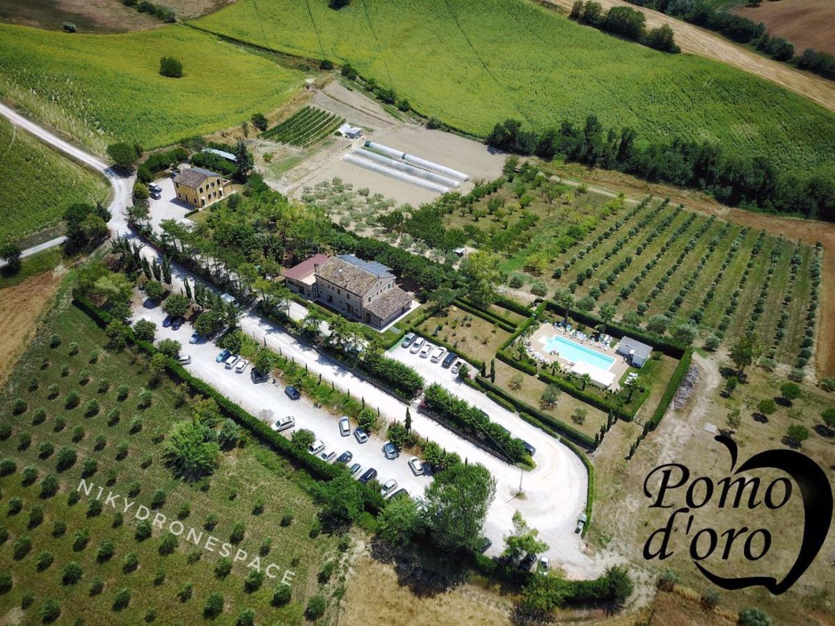 Agriturismo Pomod'Oro Villa Torre San Patrizio Kültér fotó